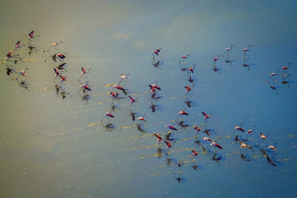 Discover Maharloo Lake Discover Maharloo Lake