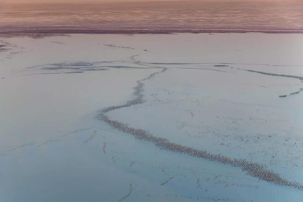 Discover Maharloo Lake Discover Maharloo Lake